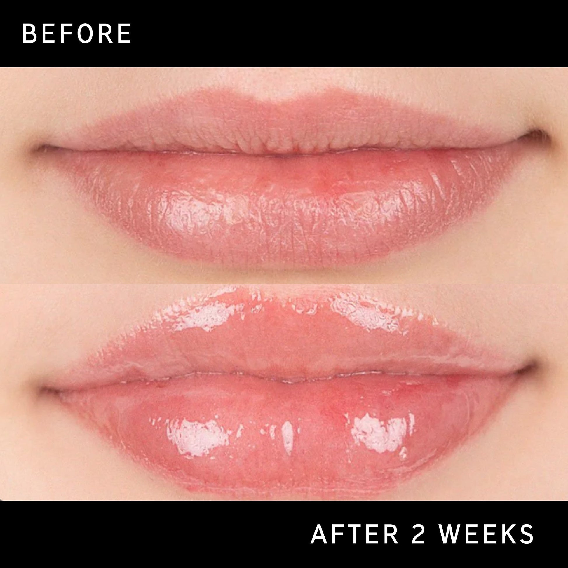 tripeptide-plumping-lip-balm-c0 DTC-Top15_Amends_Tripeptide-Lip_B_A.jpg